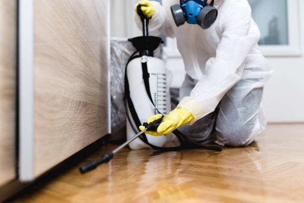 Best Affordable Pest Control Services  in Chandler, TX