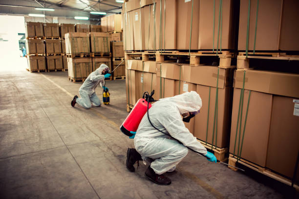 Best Termite Control Services  in Chandler, TX