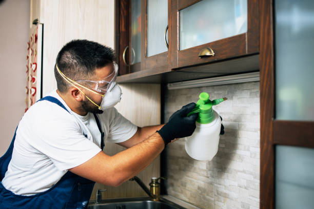 Best Pest Inspection Near Me  in Chandler, TX