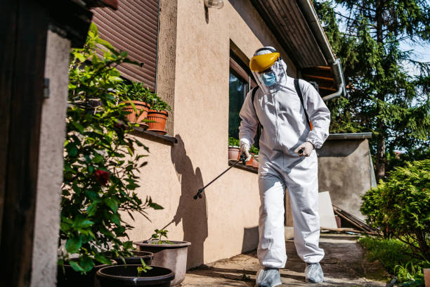Best Pest Control for Homes  in Chandler, TX