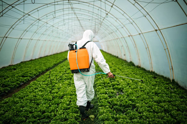 Best Residential Pest Control  in Chandler, TX