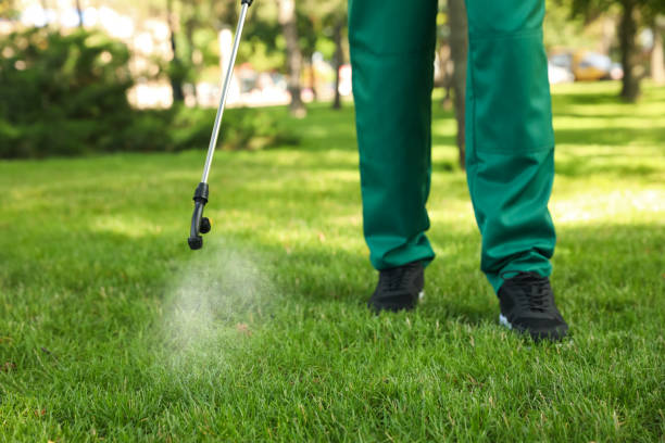 Best Bird Control  in Chandler, TX