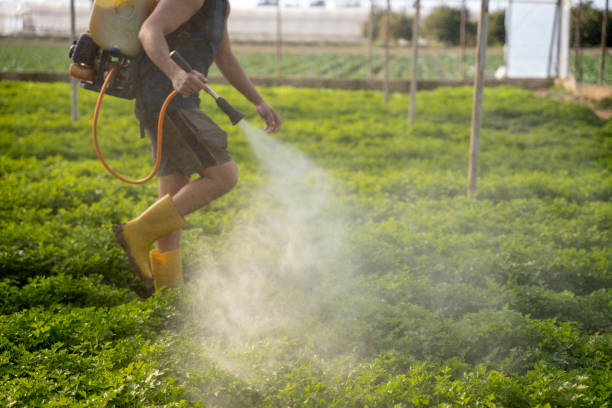Best Commercial Pest Control Services  in Chandler, TX