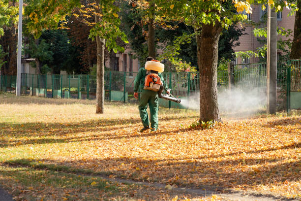 Best Spider Control Near Me  in Chandler, TX