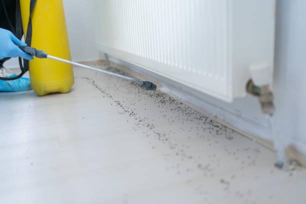 Best Rodent Control Near Me  in Chandler, TX