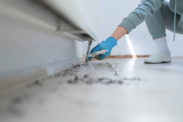 Best Bed Bug Extermination  in Chandler, TX